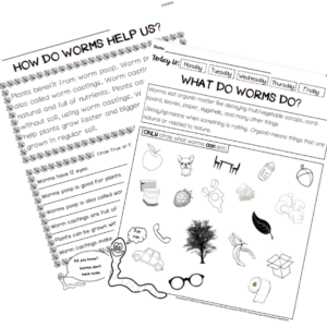 What do worms do? Worksheet